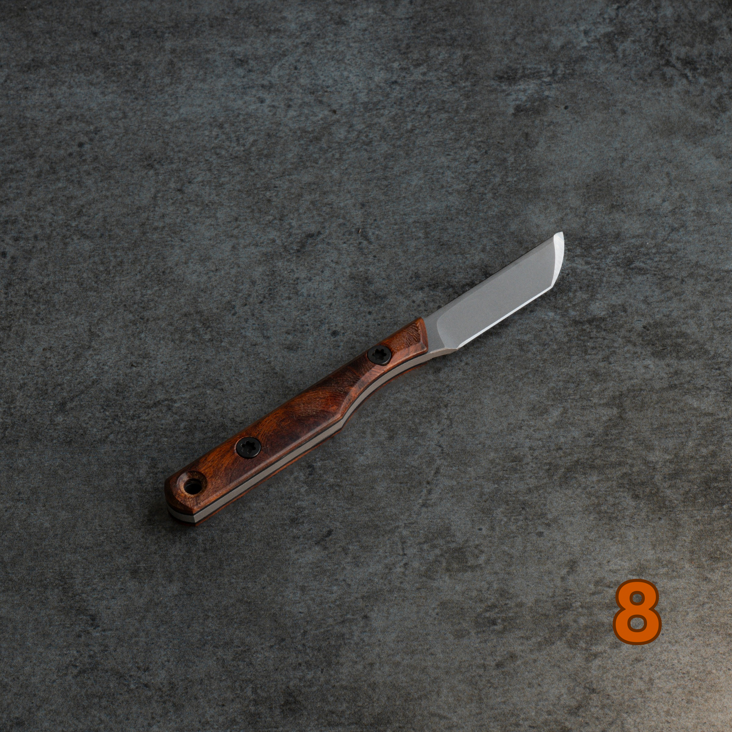 Prickly Pear - Arizona Desert Ironwood