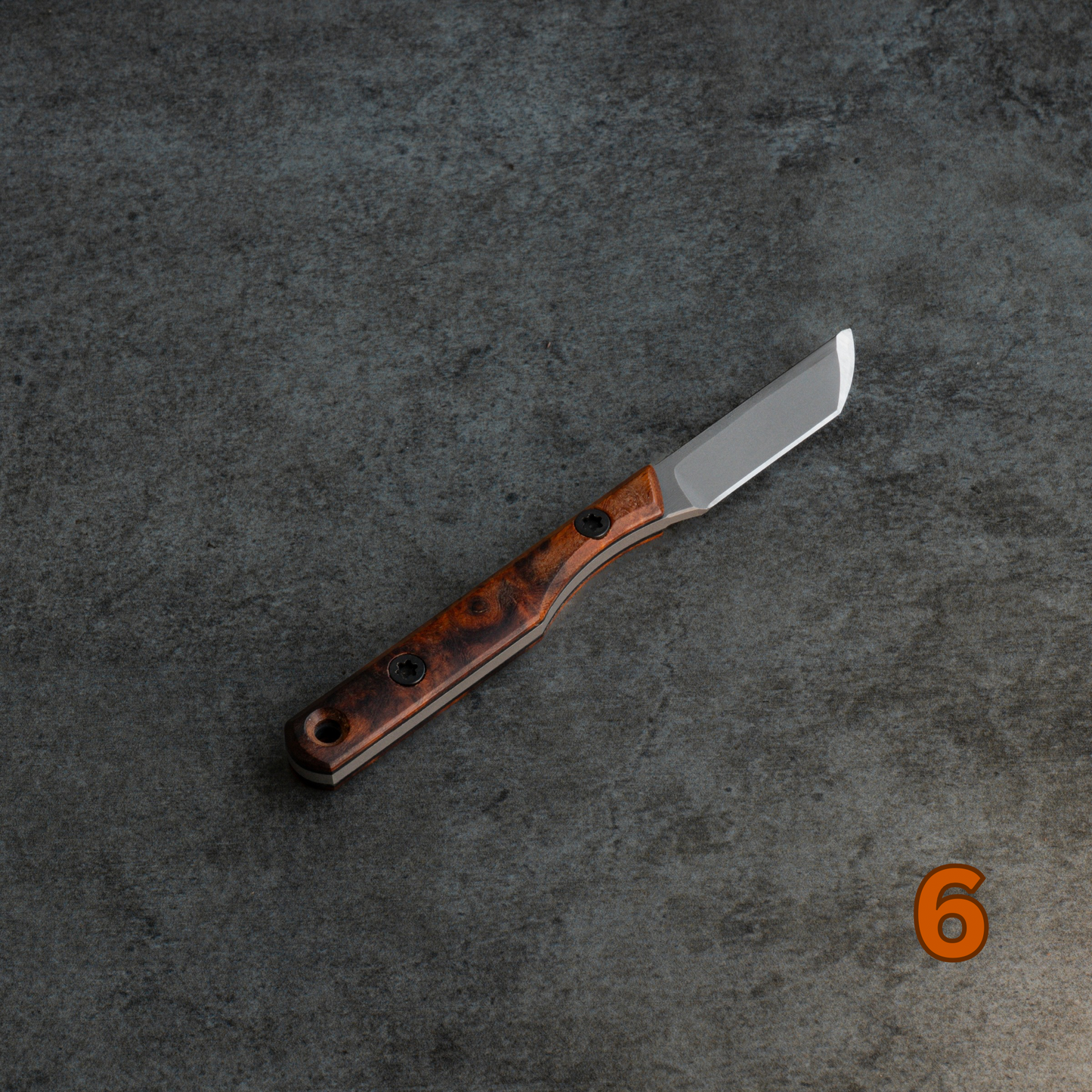 Prickly Pear - Arizona Desert Ironwood