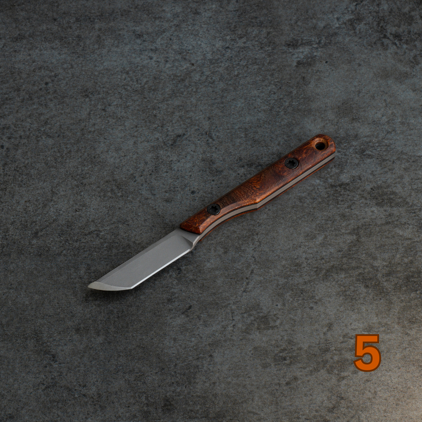 Prickly Pear - Arizona Desert Ironwood