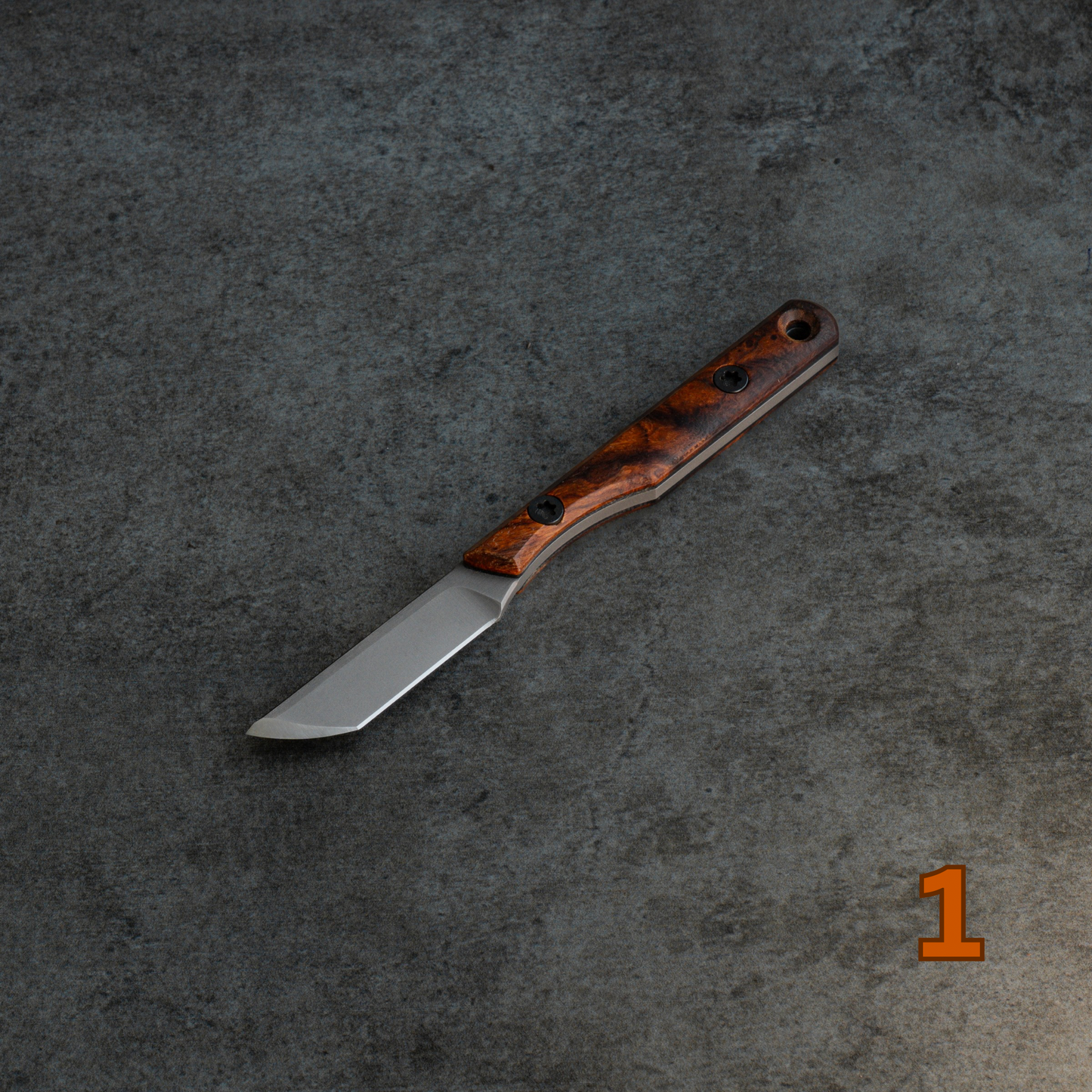 Prickly Pear - Arizona Desert Ironwood