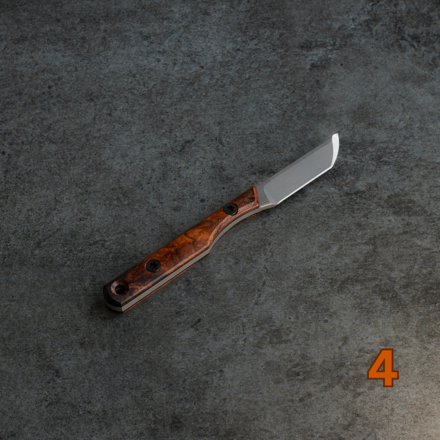 Prickly Pear - Arizona Desert Ironwood