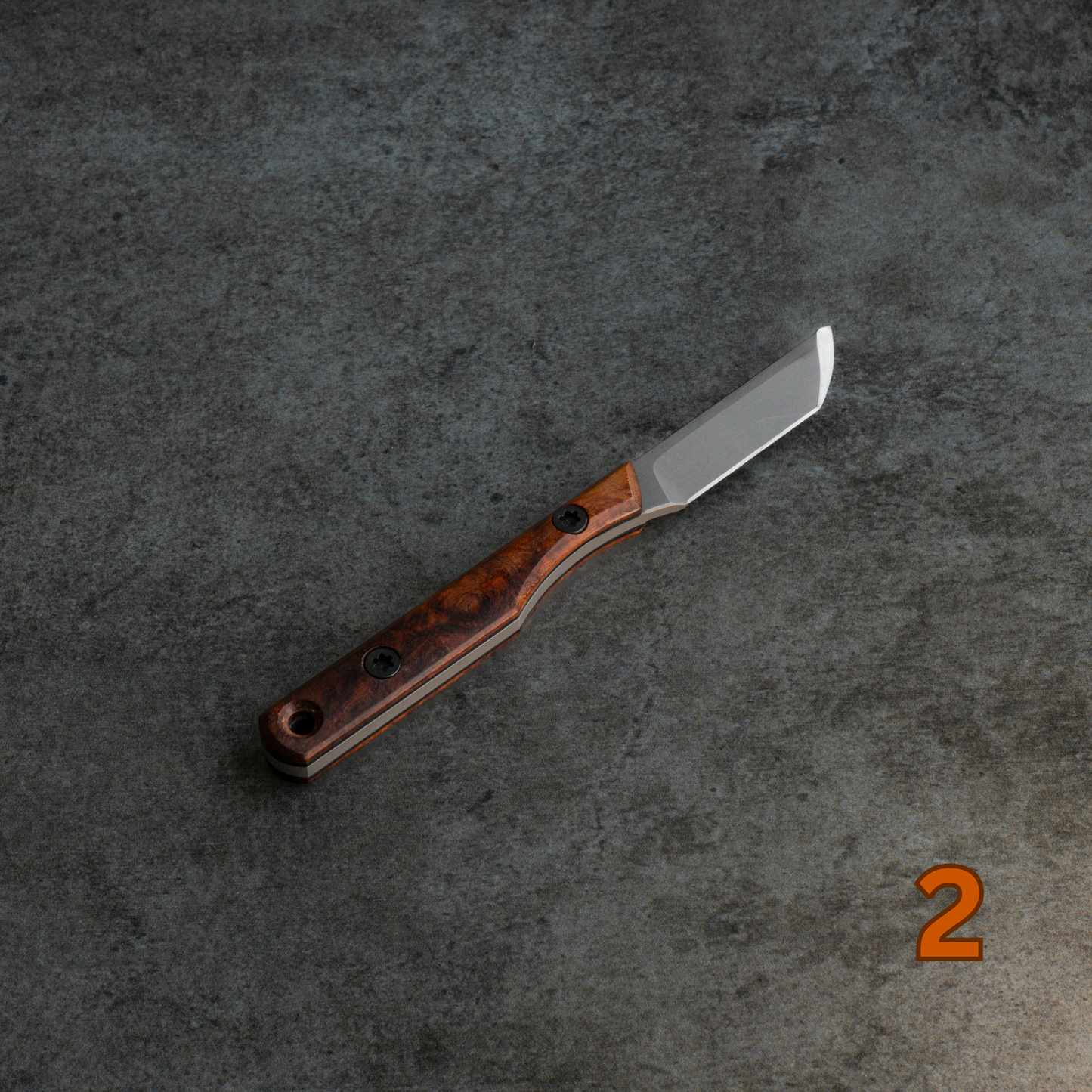 Prickly Pear - Arizona Desert Ironwood