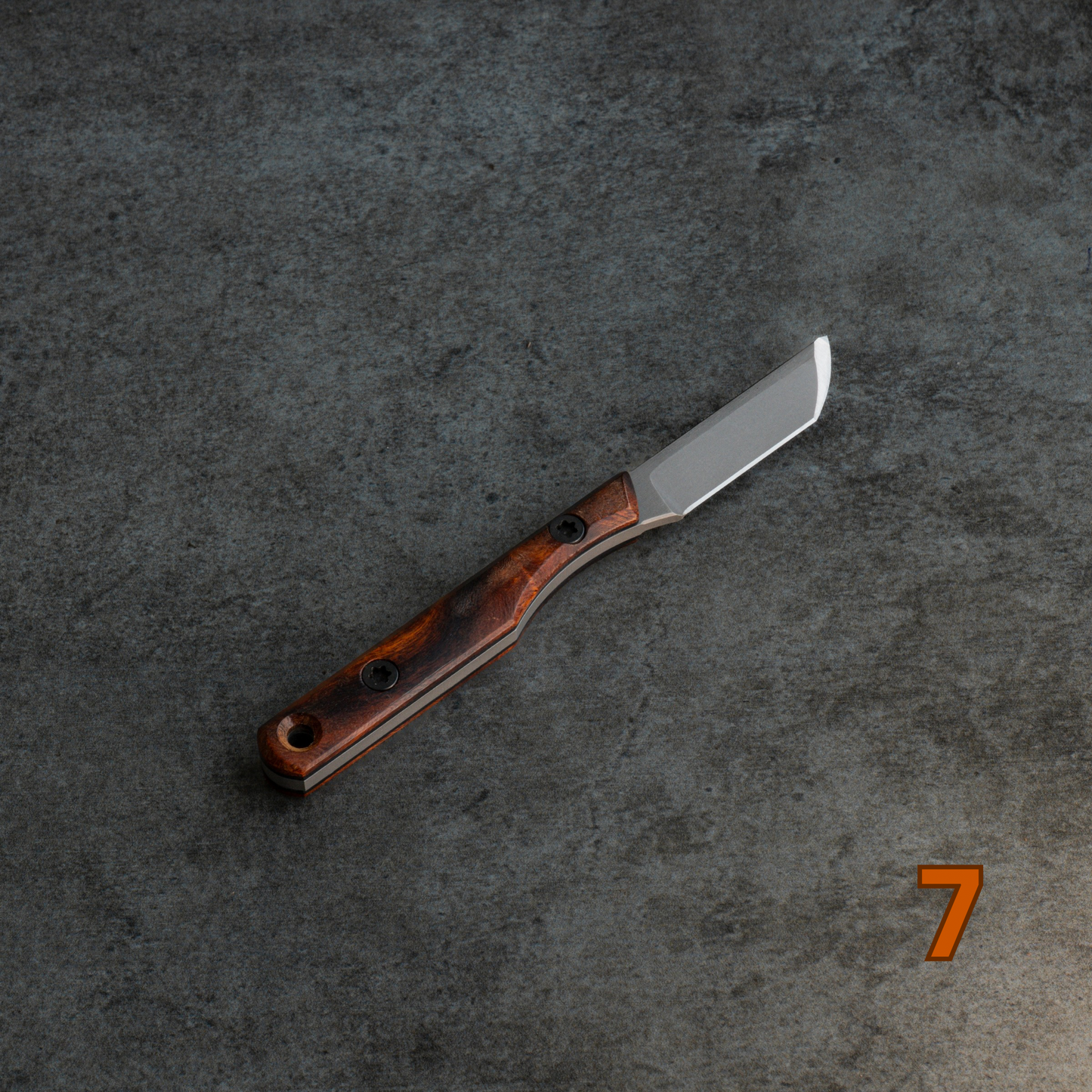 Prickly Pear - Arizona Desert Ironwood