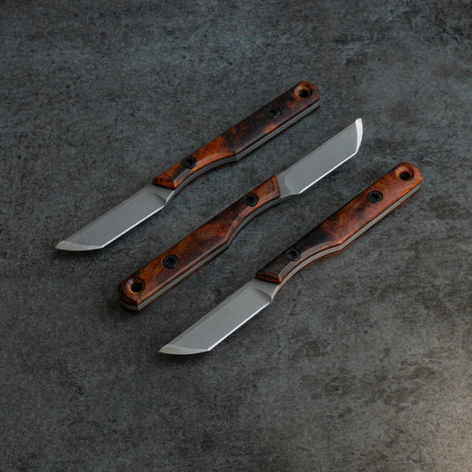 Prickly Pear - Arizona Desert Ironwood