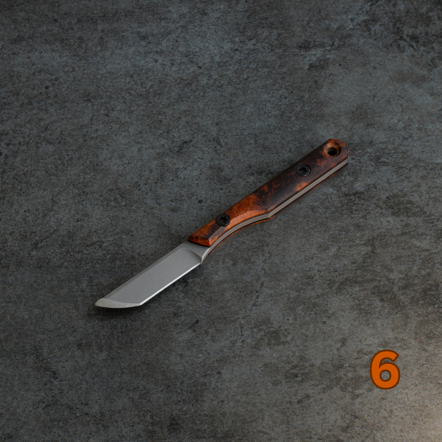 Prickly Pear - Arizona Desert Ironwood