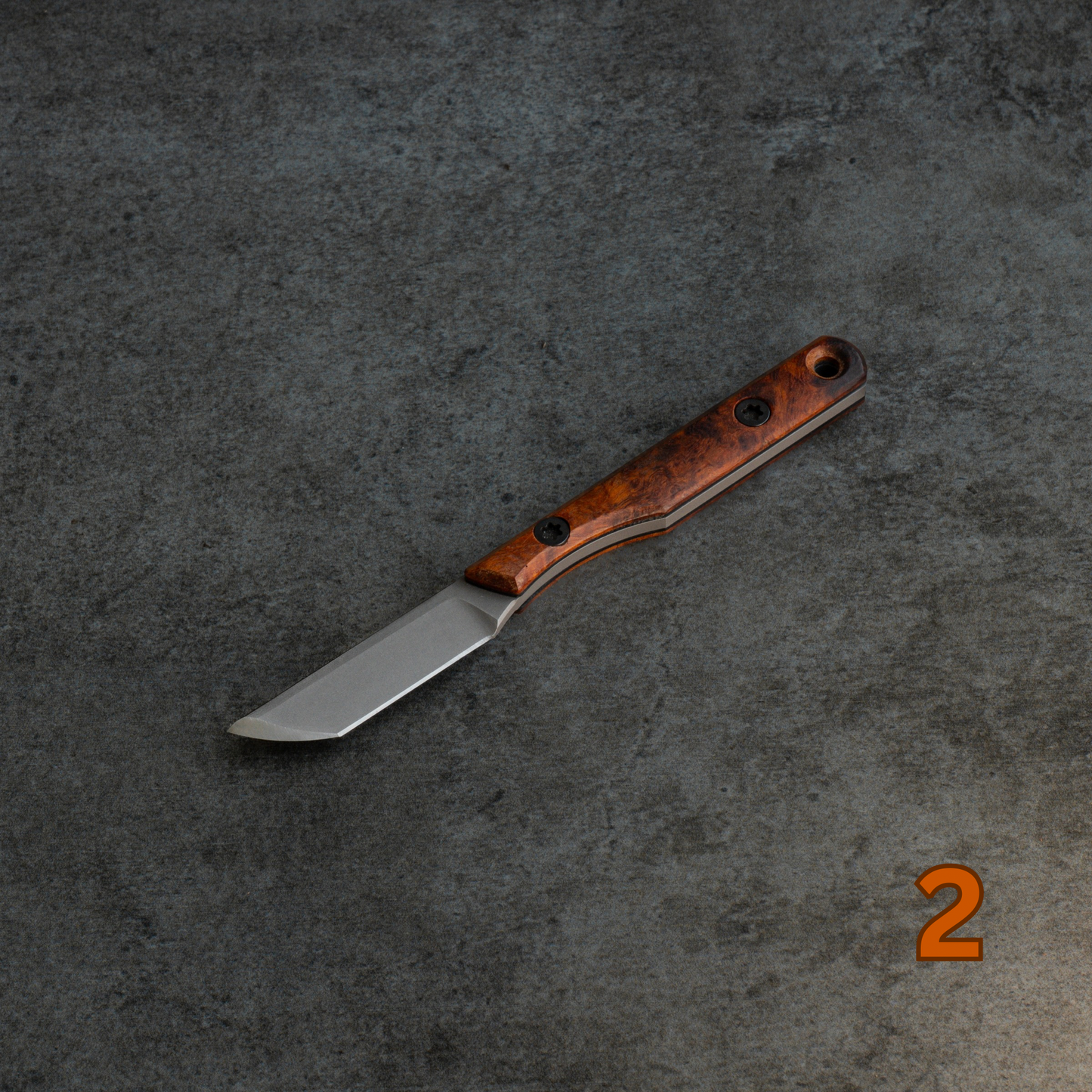 Prickly Pear - Arizona Desert Ironwood