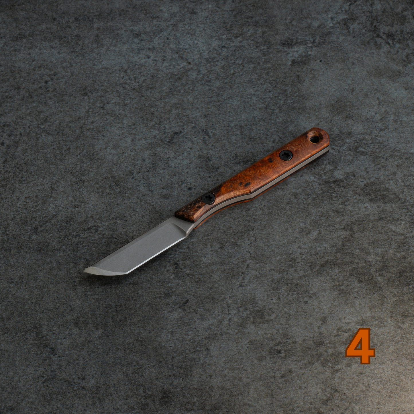 Prickly Pear - Arizona Desert Ironwood