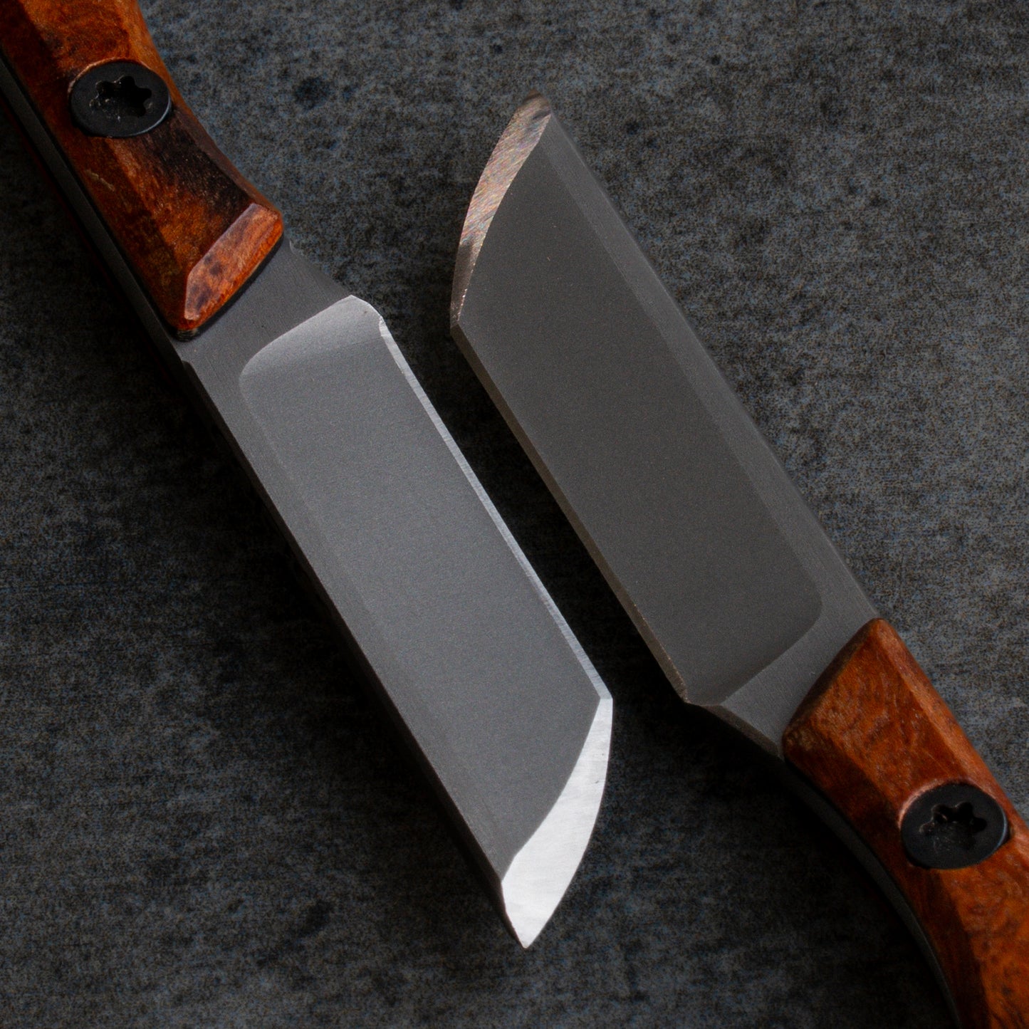 Prickly Pear - Arizona Desert Ironwood