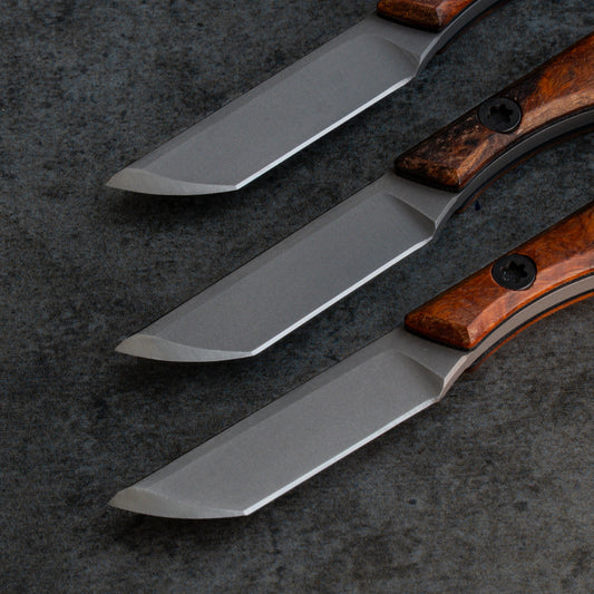 Prickly Pear - Arizona Desert Ironwood